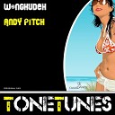 Andy Pitch - Wongkudeh
