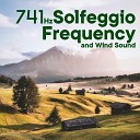 The Healing Project Schola Camerata - 741Hz Solfeggio Frequency And Wind Sound
