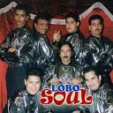 Lobo Soul - Amor a Primera Vista