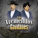 Los Tremendos Gavilanes - Pancho Elizondo