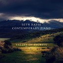 Seth Davis - Leaves in the Wind