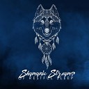 Sleep Cycles Music Collective - Calling the Last Apache