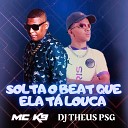 Mc K9 Dj Theus PSG - Solta o Beat Que Ela Fica Louca