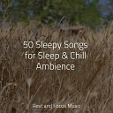 Ambientalism Happy Baby Lullaby Collection Saludo al Sol Sonido… - Deep Asleep Totally Relaxed
