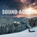 Elijah Wagner - Calming Snowfall Sounds in the Austrian Countryside Pt…