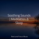 Avslappning Sound Studying Music Deep Sleep… - The Sea and the Sand