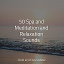 Musique Zen Garden Meditation Awareness Massage… - Problems Melting