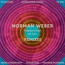 Norman Weber - Can You Dig It FreedomB Remix