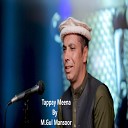 Muhammad Gul Mansoor - Tappay Meena