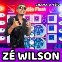 Z Wilson - Chama o V io
