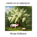 Игорь Кабанов - Дождик в декабре