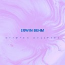 Erwin Behm - Loud Minimum