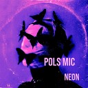 Pols Mic - Electric Echoes