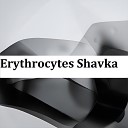 Myata Ann - Erythrocytes Shavka