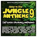 DJ Slinke - Big Inna Di Jungle