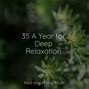 Spa Relaxation Music Guru Spa Brainwave… - Tea and Zen