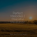 Tonal Meditation Collective Pet Care Music Therapy Childrens… - Harmony Heard