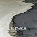 Carbamazepine - Penetration