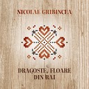Nicolae Gribincea - Mandra Mea Cu Vino Ncoace