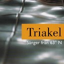 Triakel - Den gr tande dr ngen