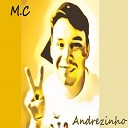 MC Andrezinho - Quer Que Eu Bote Com For a