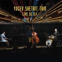 Yogev Shetrit Trio - I Will Wait Live