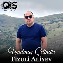 Fizuli Aliyev - Unutmaq etindir