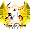 Boi Bumb Mina de Ouro - Estrela da Paix o