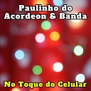 Paulinho do Acordeon Banda - No Toque do Celular Cover