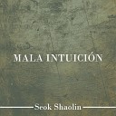 Seok Shaolin - Mala Intuici n