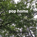 Gentle Groove - pop home