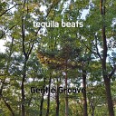 Gentle Groove - tequila beats