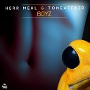 Herr Mehl Toneaffair - Boyz Extended Mix