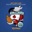 Groove Cartel Miss Mars - Not Too Late CutWires Remix