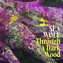 Sea Wolf feat Dustin O Halloran - Reflections on a Grey Dawn feat Dustin O…
