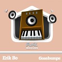 Erik Bo - Gosebumps