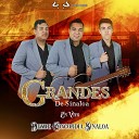 Grandes De Sinaloa - Me Llamas