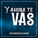 Las Voces De Culiacan - Ya Ves