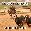 Alfredo Tenepe - Noche Guarique a