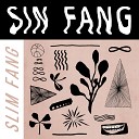 Sin Fang - Real Soft Boy Animal