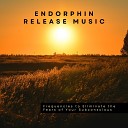 Endorphine Release - Music for Happiness and Prosperity