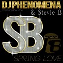 Dj Phenomena Stevie B - Spring Love DJ Vidal Radio Teknobeat Mix