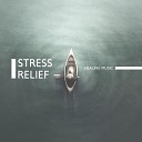 Stress Relieving Music Consort - Strong Rain
