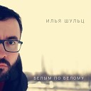 Илья Шульц - Дневник