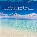 Sebastian Riegl - Subterranean Ocean Beach Waves Ambience Pt 1