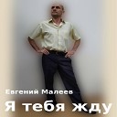 Евгений Малеев - Траектория любви