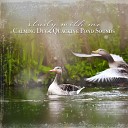 Sebastian Riegl - Calming Duck Quacking Pond Sounds Pt 4