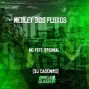 Mc Fefe Original DJ Casemiro - Medley dos Fluxos
