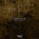 Goncalo M - Structured Transition