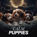 Calming Music for Pets - Gigglesome Dance